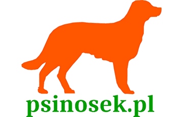 Psinosek.pl - portal internetowy o psach